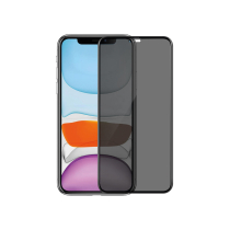 Verre Trempé Pixel 10 Pro (Privacy)