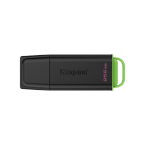KINGSTON Clé USB Exodia G2 256Go